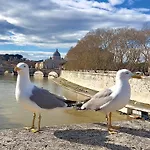 Few Steps From Vatican City