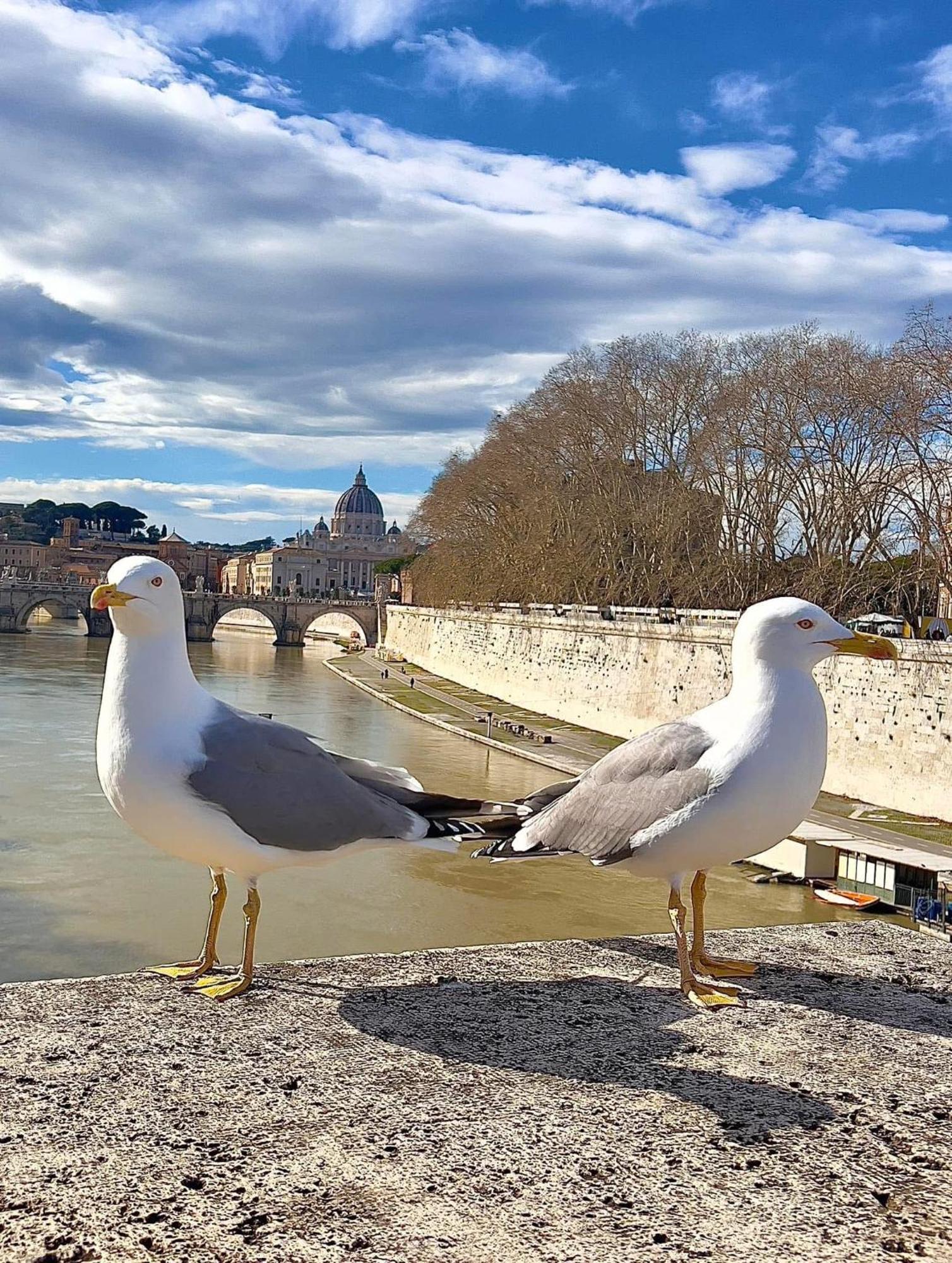 Few Steps From Vatican Apartment
